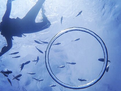 ルアナ(Luana)の写真