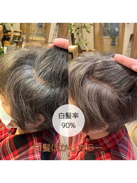 ザリカル(THE RECAL.) 【THE RECAL.】オリジナル☆白髪ぼかしカラー