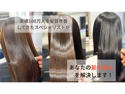 ランプシー(Lampsi)の写真