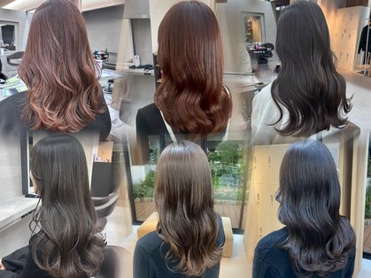 ラミン(LAMIN)の写真