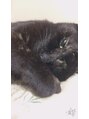 ピンズ(Pins)&nbsp;チラ見してくる過去一もれたサビ猫ちゃんです。