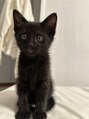 アクトヘアー(a.c.t hair)&nbsp;飼っている黒猫のツブ。少々やんちゃですが元気で可愛いです☆