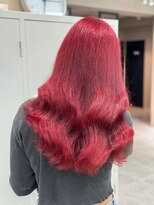 クインセス(Quincess)&nbsp;Ariel Red【アリエルレッド】