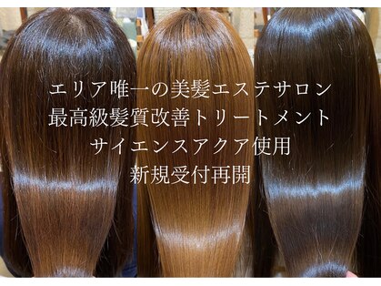 オレンジスター(ORANGE STAR)の写真
