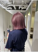 ピンクラベンダー