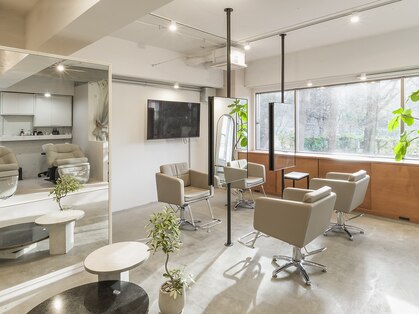 ロラ(L’ora)の写真