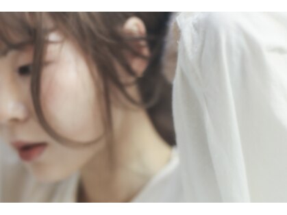 カータ(CARTA)の写真
