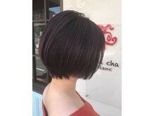 チャチャブラン アミー(cha-cha Blanc Amie)