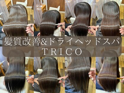 トリコ(TRICO)の写真