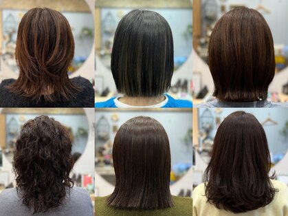 ペリ(peri)の写真