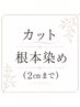 カット+根元染め(2センチまで)トリートメント ※19時30分以降は+1000円