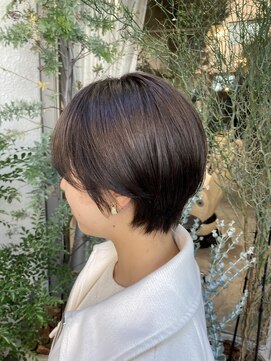 ゼストカロン(ZEST Kalon) コンパクトショート ZEST kalon 【渡辺一成】