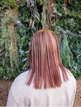 ノーブルヘアー(NOBLE HAIR) アンブレラカラー