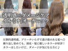 こだわりの商材[イルミナカラー/ヴィラロドラカラー/オージュア]