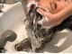 ディーエイチハルクローバー(Dh-HAL clover)の写真/思わずウトウト…オーガニックSPA「AVEDA」トラブル改善「milbon」大人女性の髪と心に綺麗をチャージ♪