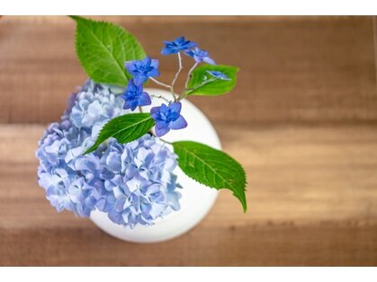 ストランド(STRAND)の写真