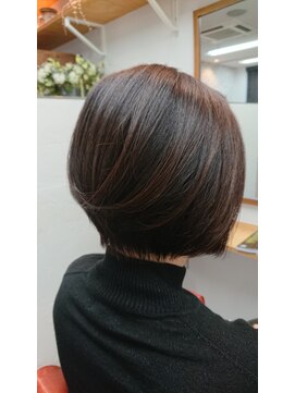 ゼルニイガタ(ZELE NIIGATA) グラデーションボブ