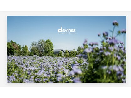 ペレ(pel'e)の写真