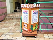 ココロコ(COCO LOCO)の雰囲気（この手作りの看板を目印に☆）