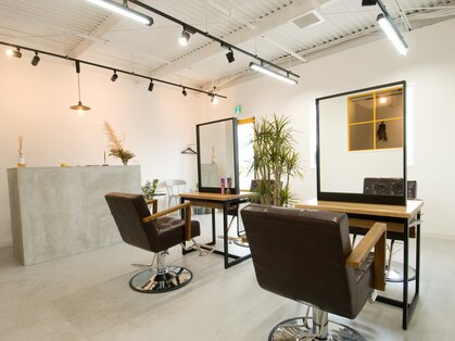 クロエ(chloe)の写真