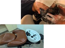 YUMEシャンプー導入店＊リラックスできる姿勢での施術ができます