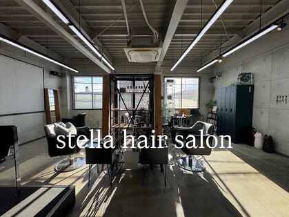 ステラ(stella)の写真