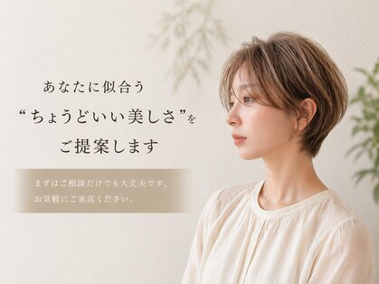 ヨール(YOL)の写真