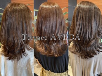 テラスアヴェダ(Terrace AVEDA)の写真/【岡山/髪質改善】あなたの骨格/毛質/クセに合わせた質感ドライカットで悩みを魅力に変える技術！