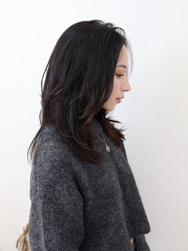 ファミリー(Family) 艶髪ナチュラルブラック大人センターパートレイヤーロング