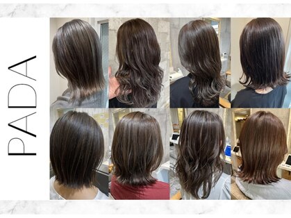 パダ(PADA)の写真