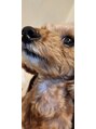 ラクト(RAKT)&nbsp;愛犬のコロン(^-^)