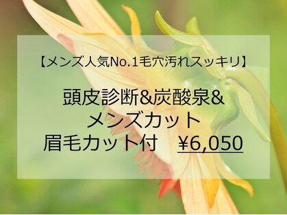 peu a peuの写真