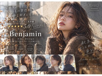 ベンジャミン(Benjamin)の写真