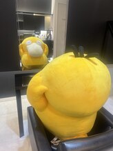 ディーヘアーデザイン(d.HAIR DESIGN) スタッフ 一同