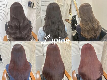 ルピナス(Lupine.)の写真