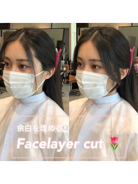 アリーズ(ALLYS) フェイスレイヤー