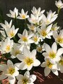 クレール 塚口店(CREER) 毎年お月見の時期に咲く花。毎年楽しみにしています☆
