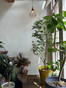 プチアルク バイ アルカンシエル(petit-arc by Arc-en-ciel)の写真/【高知・帯屋町】落ち着いたカフェのような空間で、あなただけのサロンタイムをお過ごしいただけます♪