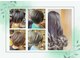 プラスティック プラスヘアーサロン(PLUSTIC +hair salon)の写真