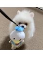 ドラマチックヘア 狭山ヶ丘店(DRAMATIC HAIR) 愛犬のノアちゃんです!