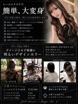エリーツ(elyts) シールエクステでできるデザインカラー/シールエクステ/エクステ