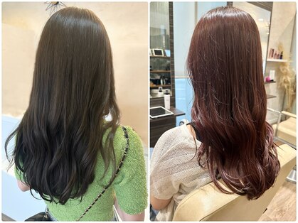 シェリッシュ ノース(Sheriche North)の写真