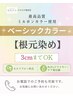 新規【白髪/根元3cm以内】ベーシックカラーのみ¥2690→¥2360