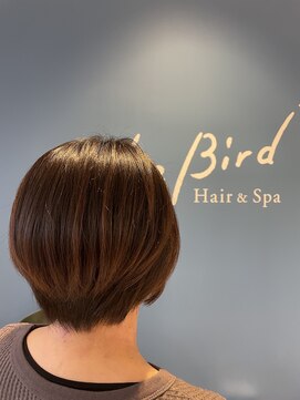 ブルーバード(Blue Bird) オン眉ショートヘア