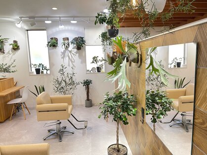 キーズヘアー(keys hair)の写真