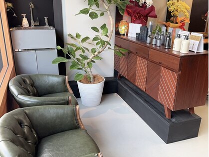 リオラ(Liora)の写真