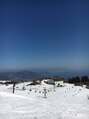 ティカル(Tikal)&nbsp;冬場はスキー場で転がっております。