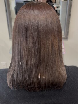 ガーベラ(gerbera) ツヤサラブラウンカラー