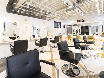 ラビスモア(Lovis moa)の写真