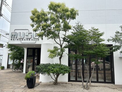 ミューズ 四街道店(MUSE)の写真